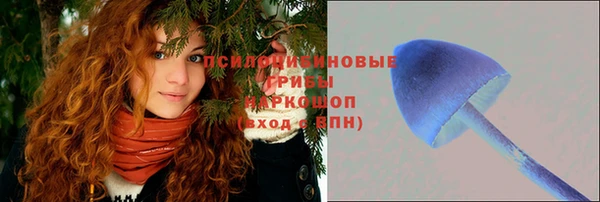 spice Балабаново