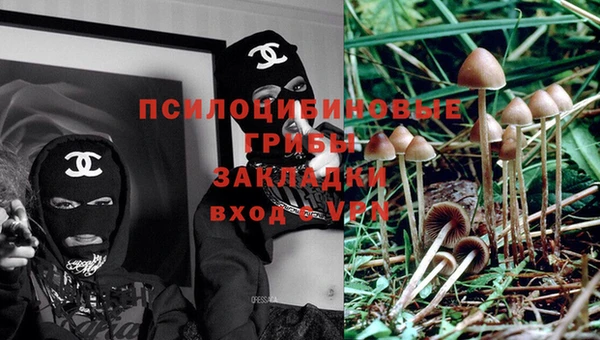 прущая мука Балахна