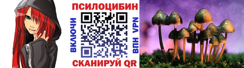 Купить где  Черняховск  Галлюциногенные грибы мицелий 
